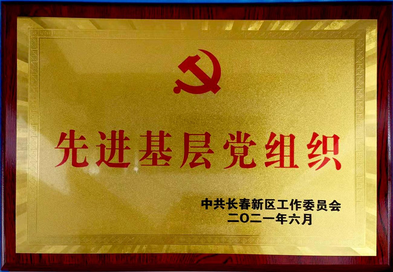 22長(zhǎng)春新區(qū)先進(jìn)基層黨組織.jpg